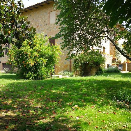 Claudia Vacanza Toscana - Appartamento Melograno -10 Min Da Siena Совичилле Экстерьер фото