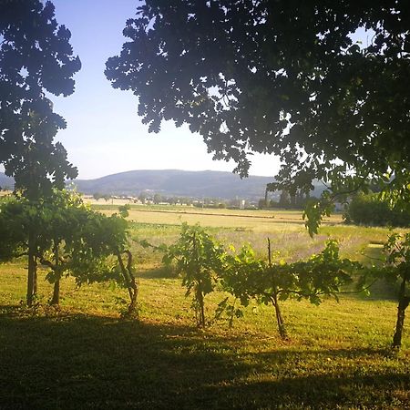 Claudia Vacanza Toscana - Appartamento Melograno -10 Min Da Siena Совичилле Экстерьер фото