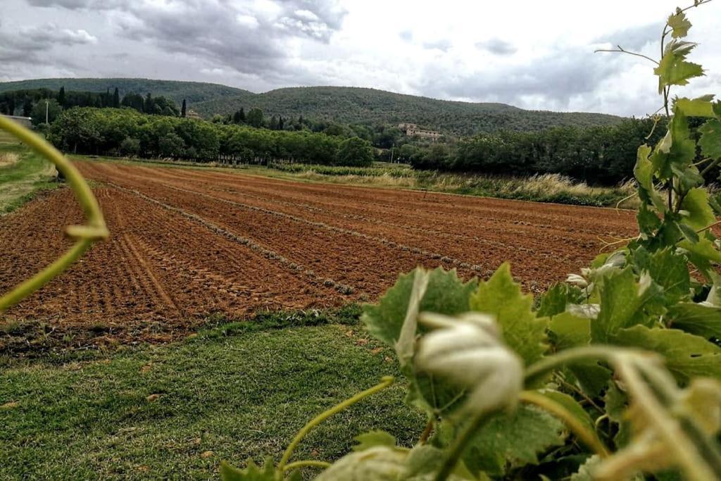 Claudia Vacanza Toscana - Appartamento Melograno -10 Min Da Siena Совичилле Экстерьер фото