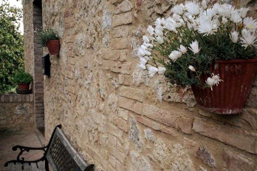 Claudia Vacanza Toscana - Appartamento Melograno -10 Min Da Siena Совичилле Экстерьер фото